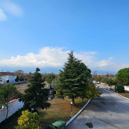 Great Alexander Hotel Litochoro Exterior foto